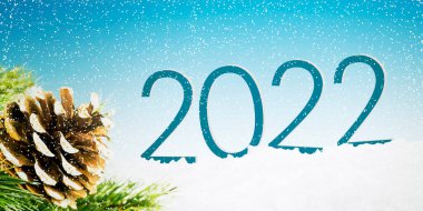 Kışın kar altında 2022 rakamlı köknar ağacının dalına çam kozalağı yakın.