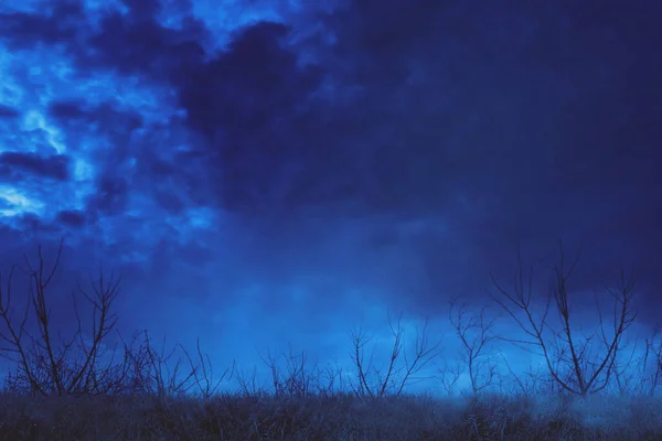 ハロウィンホラーのコンセプト 霧の夜に枯れ木と草で覆われた不気味な森 — ストック写真