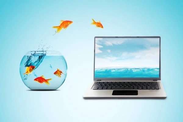 Group Goldfish Jumping Aquarium Sea Laptop Screen Blue Background — Stok Foto