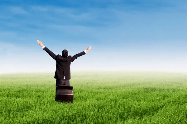 男性经理站在蓝天背景的草地上举手表决 以此来表达自己的快乐 — 图库照片