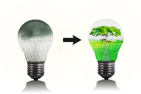 Energiebronconcept Afbeelding Van Vervuiling Gloeilamp Veranderen Zijn Groene Lamp Studio — Stockfoto