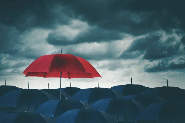 思维方式不一样 暴雨时 红色雨伞从黑色雨伞的人群中脱颖而出 — 图库照片