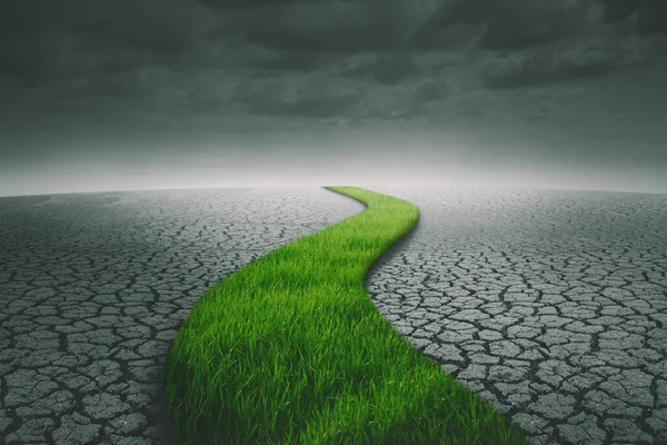 Image Green Grass Shaping Path Way Dried Soil Cloudy Sky — Stock Photo, Image