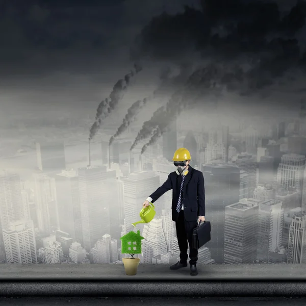 Engineer watering plant on rooftop 1 — Stock Photo, Image