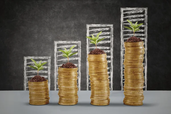 Planta creciendo en las monedas de dinero —  Fotos de Stock