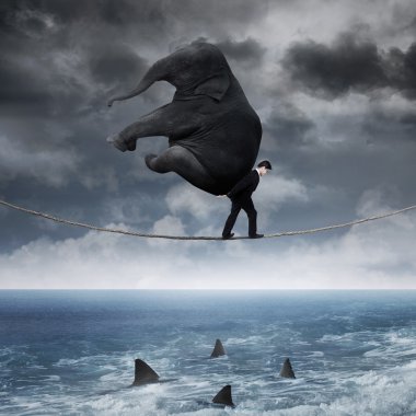 Deniz üstünde bir fil ile kişi