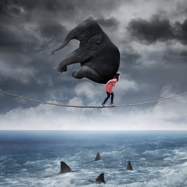 bir fil ip üzerinde taşıyan kadın