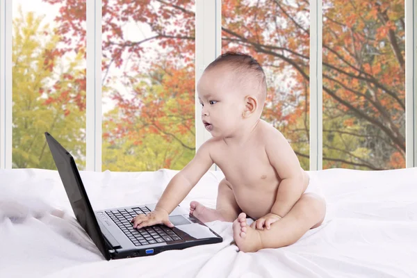 Piccolo bambino imparare a usare il computer portatile — Foto Stock