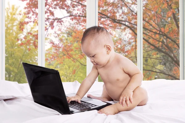 Lovely baby typen op laptop — Stockfoto