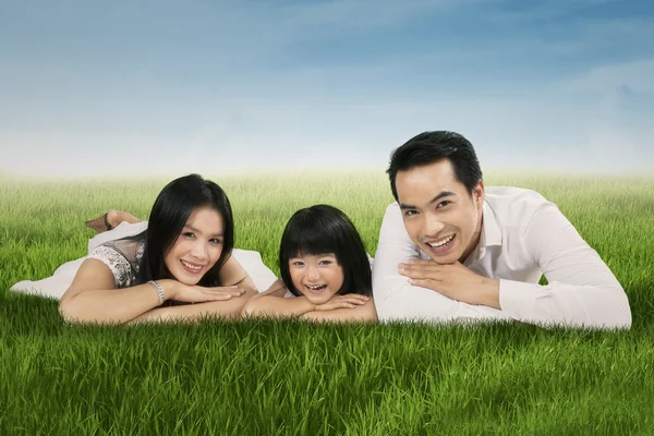 草の上に横たわるうれしそうなアジア系の家族 — ストック写真