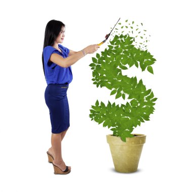 Kadın tutmak para ağaç büyüme