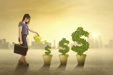 Kadın para ağaçlar açık havada sulama