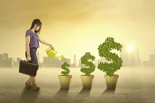 Woman watering the money trees outdoors — Stock Photo, Image