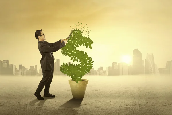 Businessman cutting money tree — Stock Photo, Image