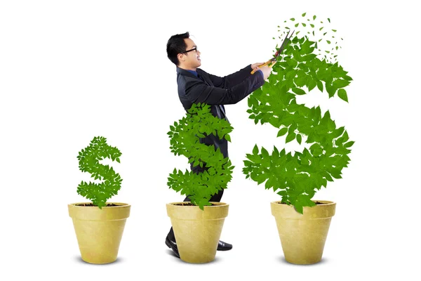 Empresario trata los árboles de dinero — Foto de Stock