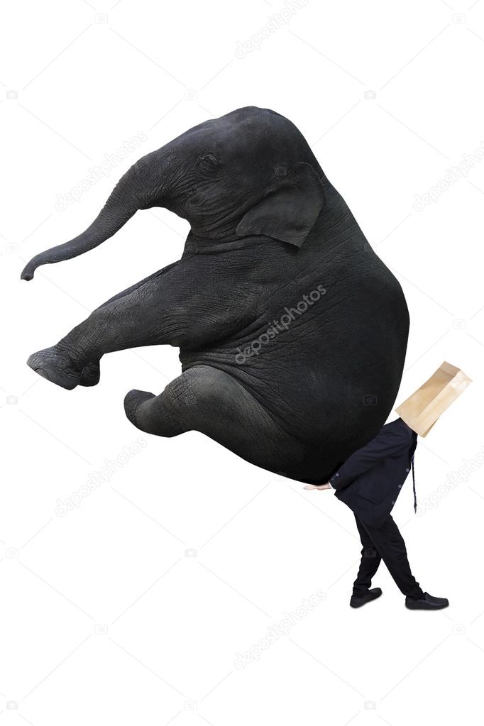 Anonymous businessman carrying elephant