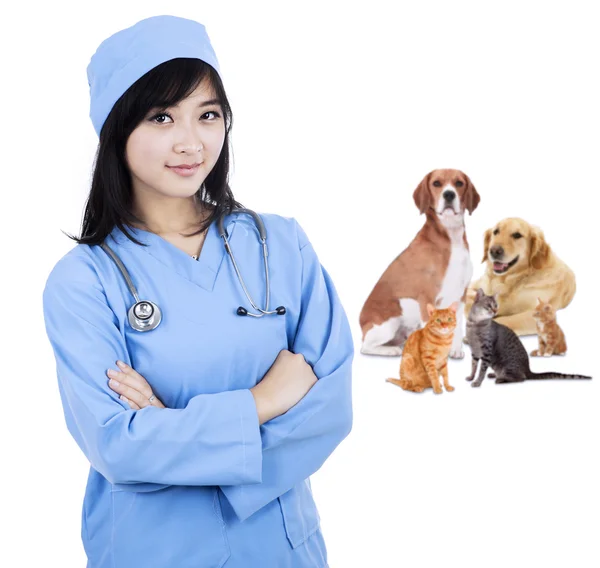 Veterinario especialista sonriendo —  Fotos de Stock