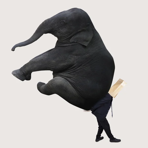 Empresário anônimo com elefante enorme — Fotografia de Stock