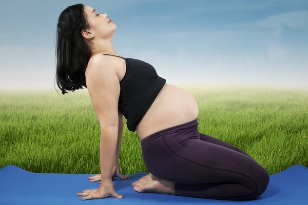 Těhotná žena, která dělá cvičení 1 — Stock fotografie