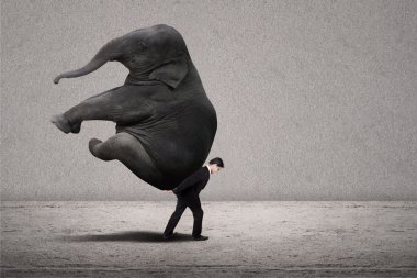 İş Yöneticisi taşımak fil gri - liderlik kavramı