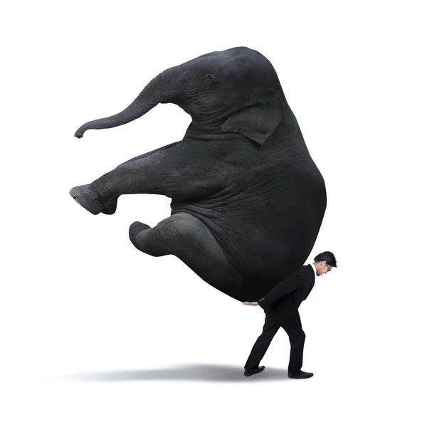 Homem de negócios levantando elefante pesado isolado em branco — Fotografia de Stock