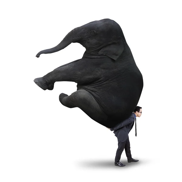 Мужчина-менеджер с тяжелым слоном — стоковое фото