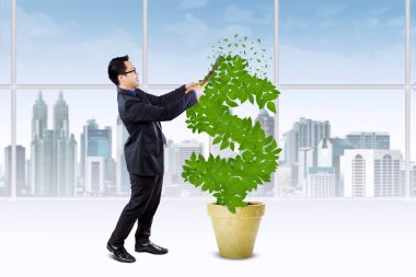 Kişi para ağacı büyüme yönetmek