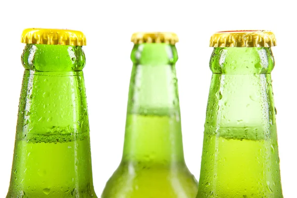 Холодное пиво с зелеными бутылками — стоковое фото