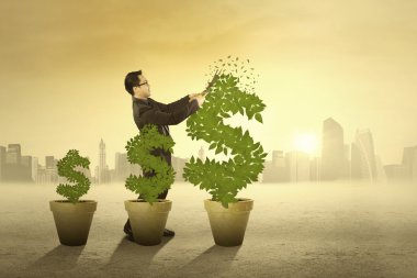 Girişimci yönetmek para ağacı