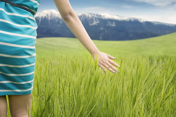 Primo piano di donna che tocca l'erba — Foto Stock