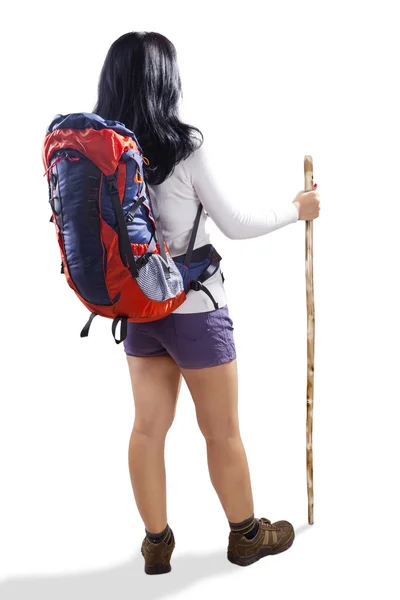 Hiker with backpack and stick — Stock Photo, Image