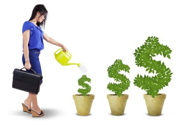 Kadın vermek bakım için para ağaçlar