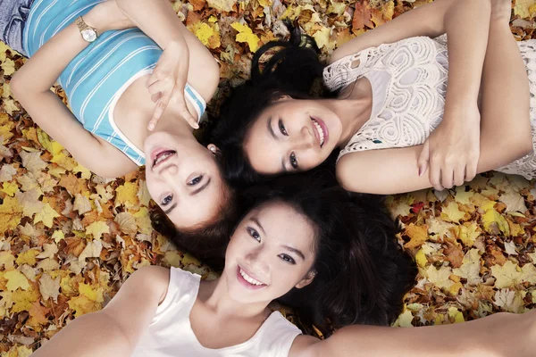 Meninas alegres deitado para baixo folhas de outono — Fotografia de Stock