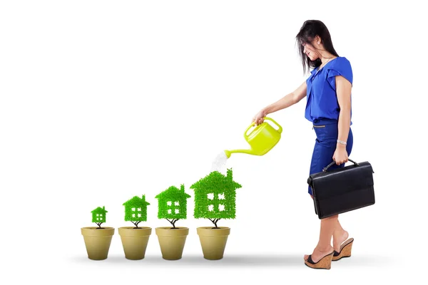 Businesswoman pouring water into tree house — Φωτογραφία Αρχείου