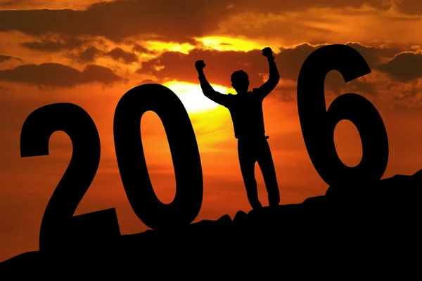 Cheerful person with 2016 on the hill — Stockfoto