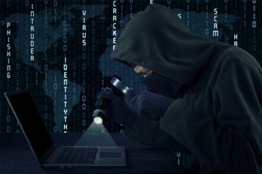Erkek hırsız Internet'te bilgi çalmak