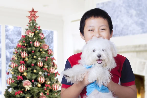 Boy holding dog with christmas tree at home — Stockfoto