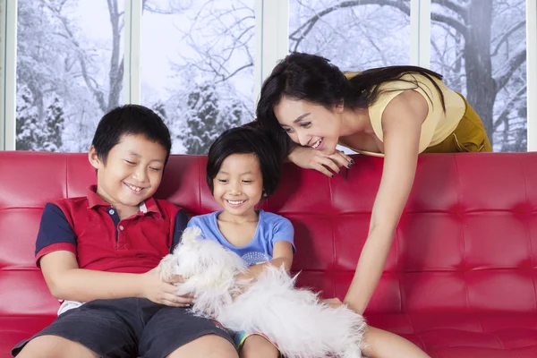 Happy family playing puppy on the sofa — 스톡 사진