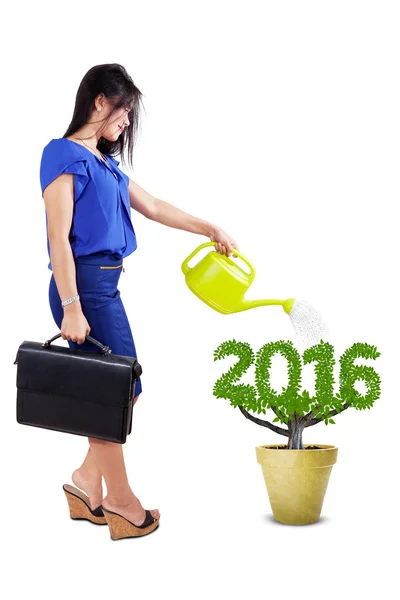 Mujer regando la planta en el estudio — Foto de Stock