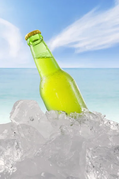 Fresh beer in the bottle with ice cube at beach — Stock Photo, Image