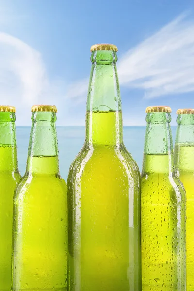 Bebida fresca nas garrafas com orvalho — Fotografia de Stock