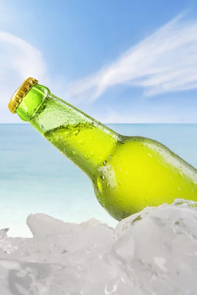 Fresh lager in the bottle with ice cube — Stock Photo, Image