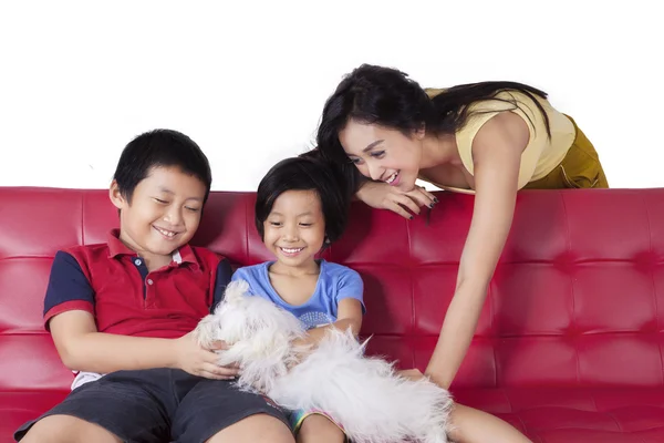 Família alegre jogando cão maltês no sofá — Fotografia de Stock