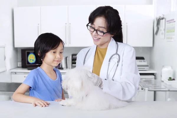 Bambina con il suo cane in visita veterinario — Foto Stock