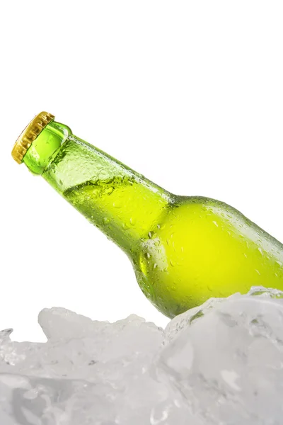 Cold lager with dew on the bottle — Stock Photo, Image