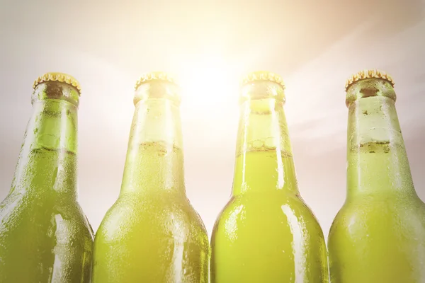 Quattro bottiglie di rugiada con birra fresca — Foto Stock