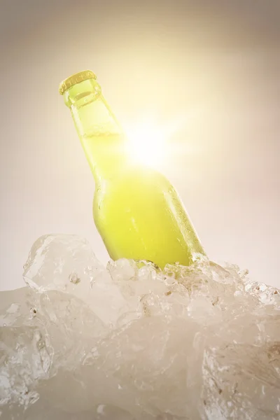 鲜啤酒在 instagram 效果与瓶 — 图库照片