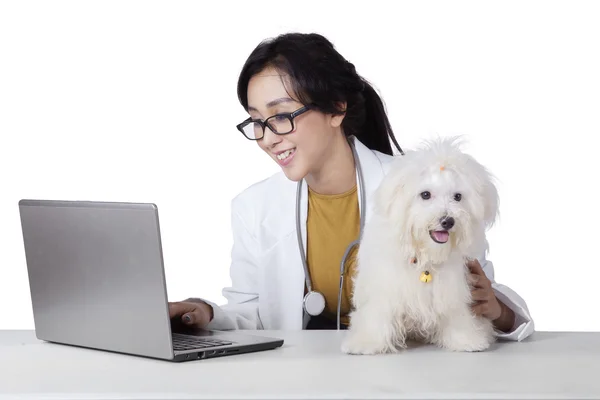 Bastante veterinario utiliza portátil con perro en el escritorio — Foto de Stock