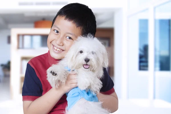 Netter Junge umarmt maltesischen Hund zu Hause — Stockfoto