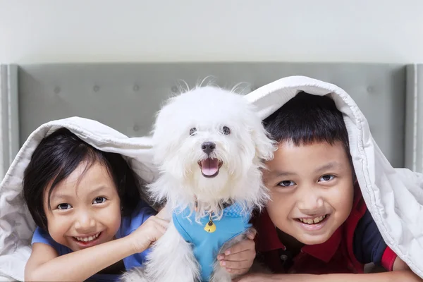 Mutlu çocuklar evde köpekle oynamayı — Stok fotoğraf